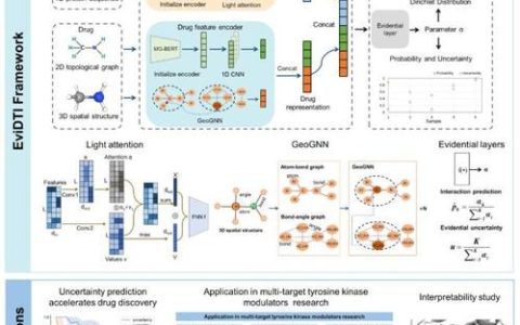 深度距离感知神经网络DistRMI：助力可解释性RNA靶向药物研发