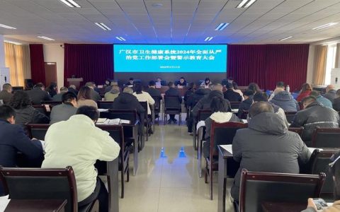 武汉市委常委会召开会议：纵深推进全面从严治党，全力维护社会大局平安稳定