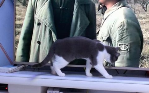 现场短新闻 | “飞手”炼成记