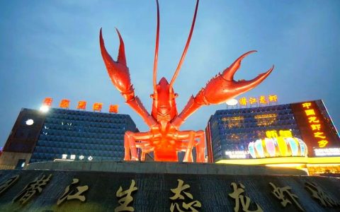 “红”动天下——“潜江龙虾”的全球化突围征程