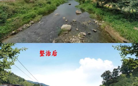 聚焦环境整治 提升乡村宜居水平