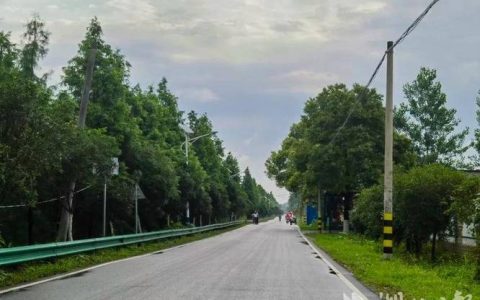 熊口镇“六清”攻坚焕新乡村颜值