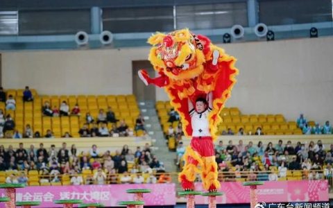 黄石舞狮队斩获一银一铜