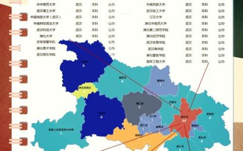 这群大学生，纷纷选择“创在湖北”