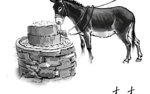 一线观｜“有活没人干”VS“有人没活干”，怎么破？