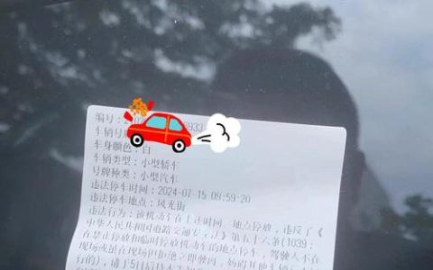 开给一车青菜的“罚单”：这次是护送！