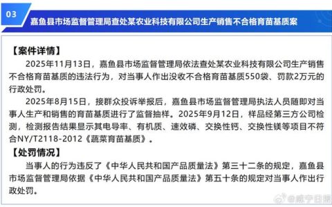 咸宁市公布7起特种设备典型违法案例