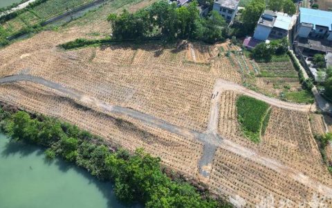 崇阳青山镇林下生“金”促振兴