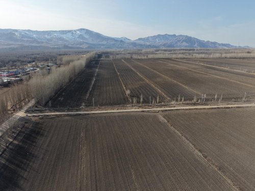 阳光财险新疆分公司：从风雪救援到科技防灾 看保险如何“保”暖民生