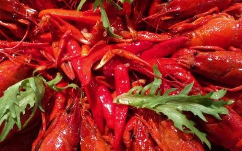 潜江龙虾：这个冬天，我决定不冬眠