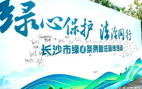 党群同心攻坚　生态治理赋能  网湖“一泓清水”还复来