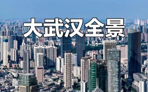 从20个“世界”看武汉雄心