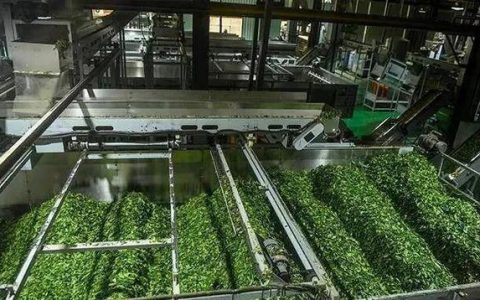 23万亩茶园50亿元产值，宣恩茶成为增收致富的好产业
