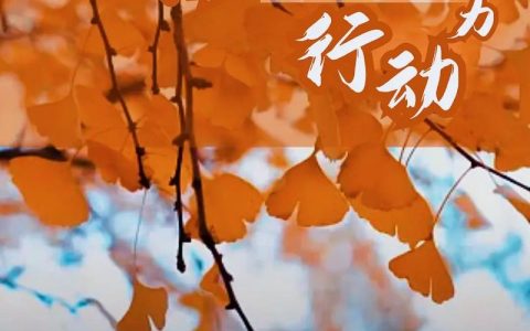 高桥镇：以“时时放心不下”责任感 筑牢元旦安全稳定防线