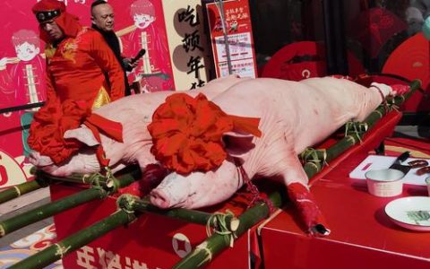 咸安高桥镇首届传统年猪文化体验季 抓猪拔菜迎新年