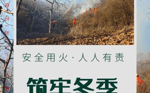 “百日攻坚”行动织密冬春防火网