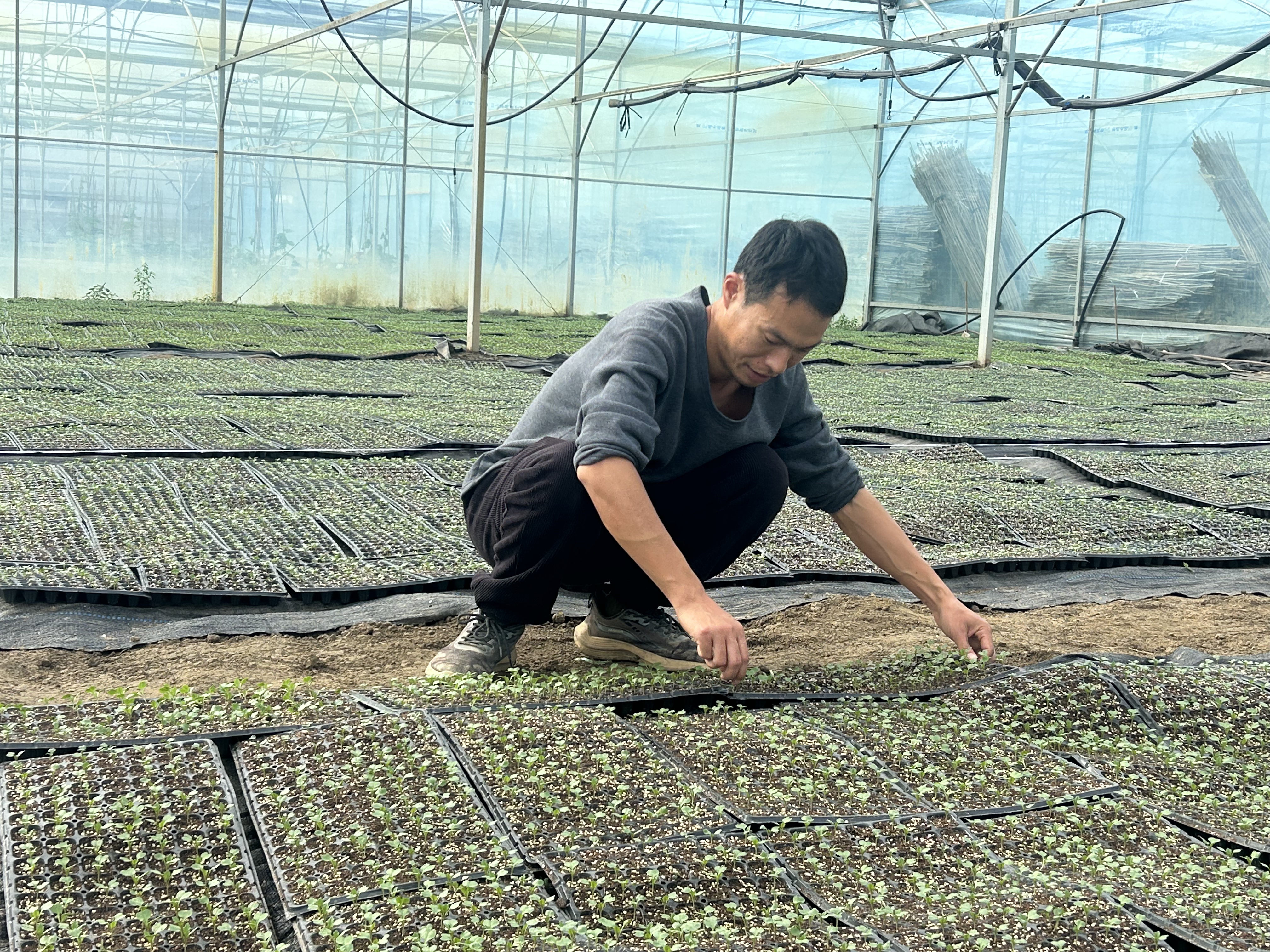 “菜篮子”里暖意浓