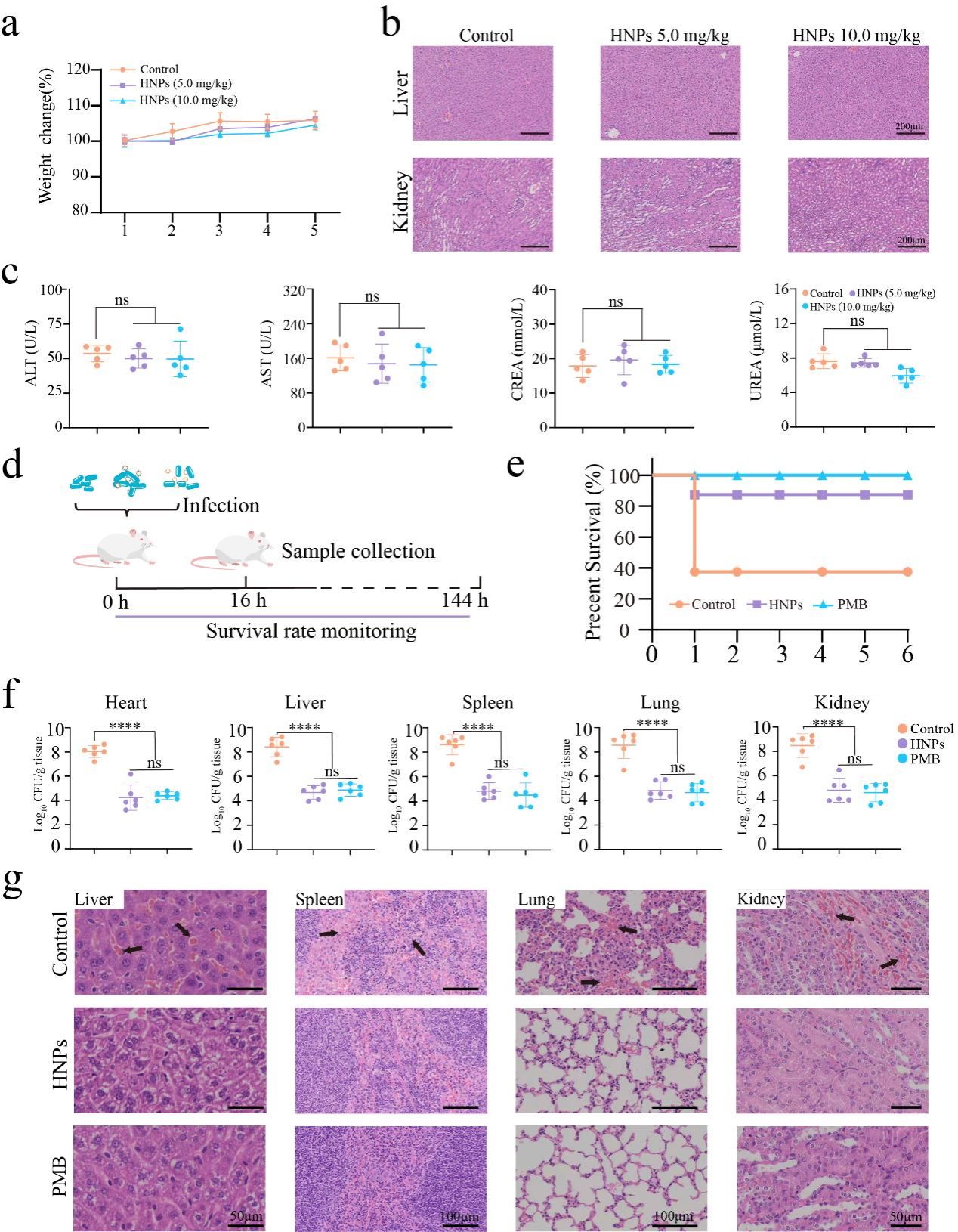 华中农业大学环境与生物分析团队在广谱抗菌聚合物研究领域取得重要进展
