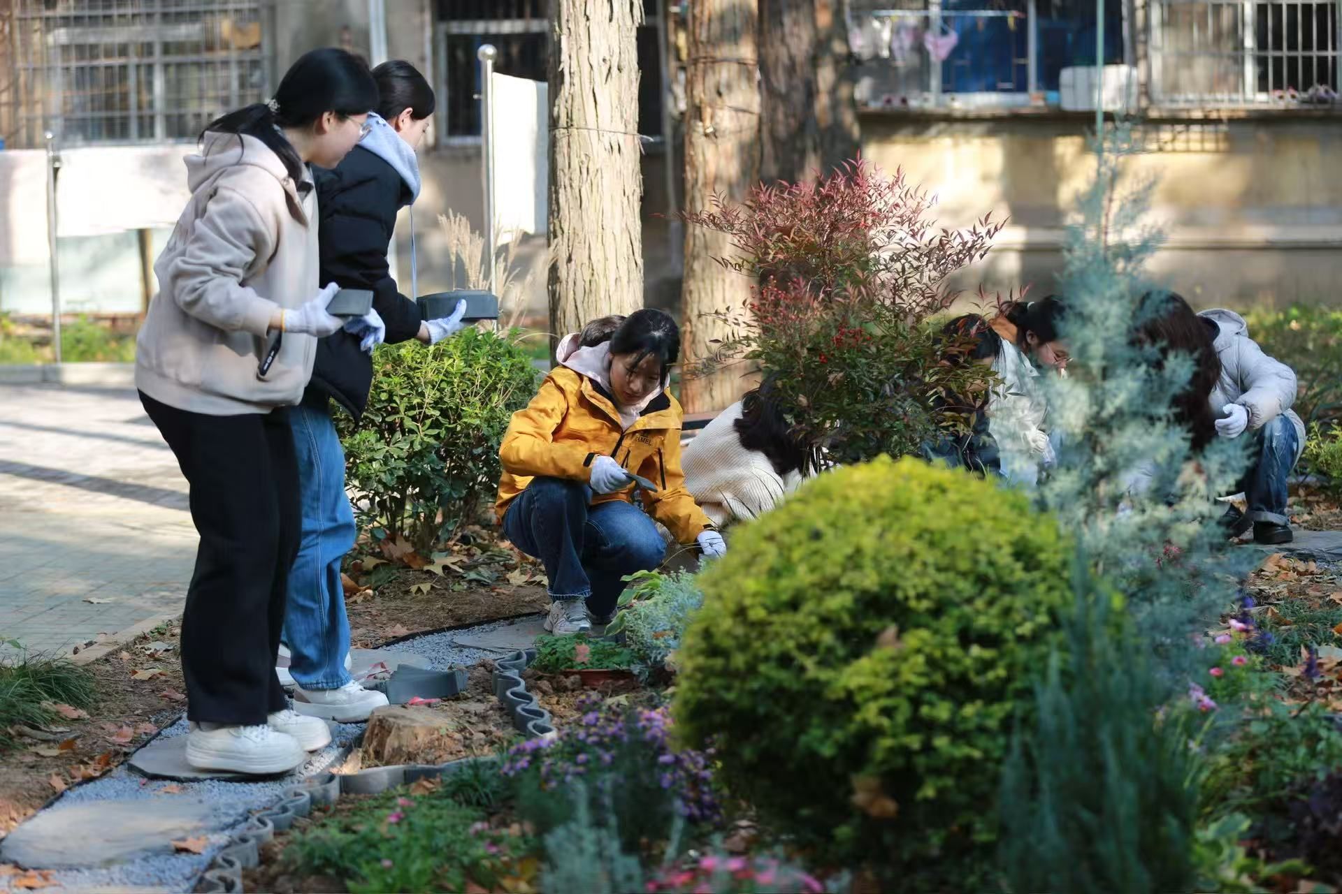 华中农业大学林肯大学联合学院“中新文化康养疗愈花园”正式开园