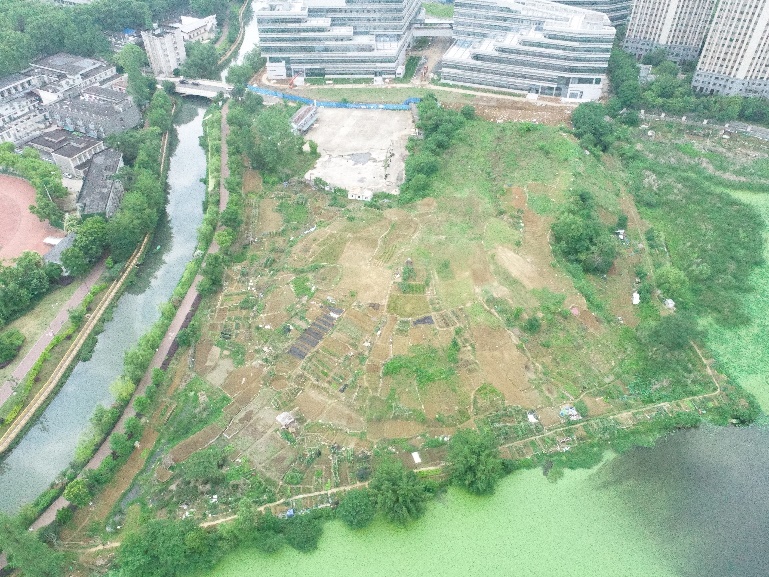 曙光养殖场土地收回工作圆满完成