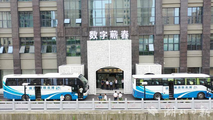 蕲春“统战电商”模式激活蕲艾产业高质量发展