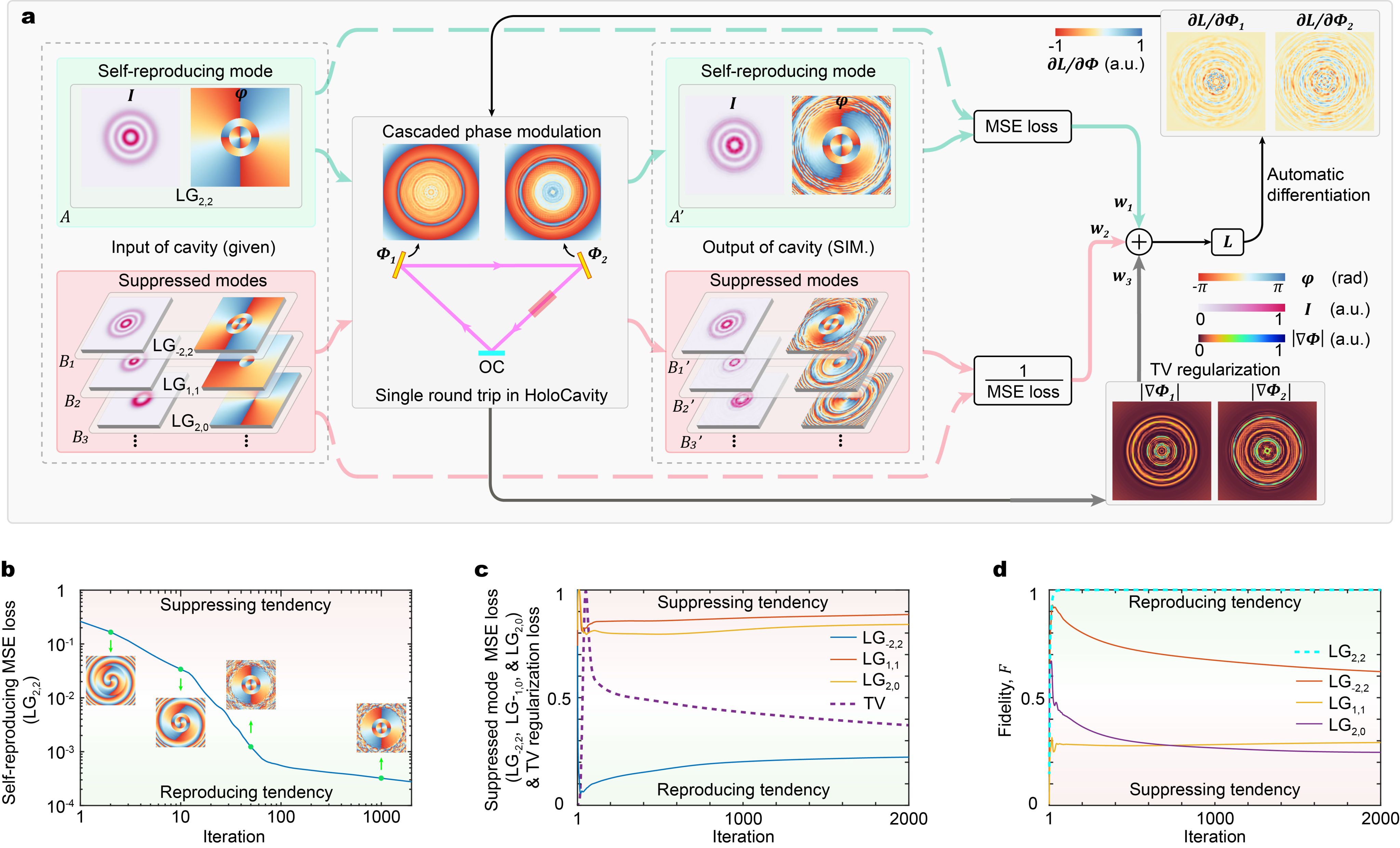 光电信息学院秦应雄团队首创基于逆Fox-Li架构的腔内全息数字激光器