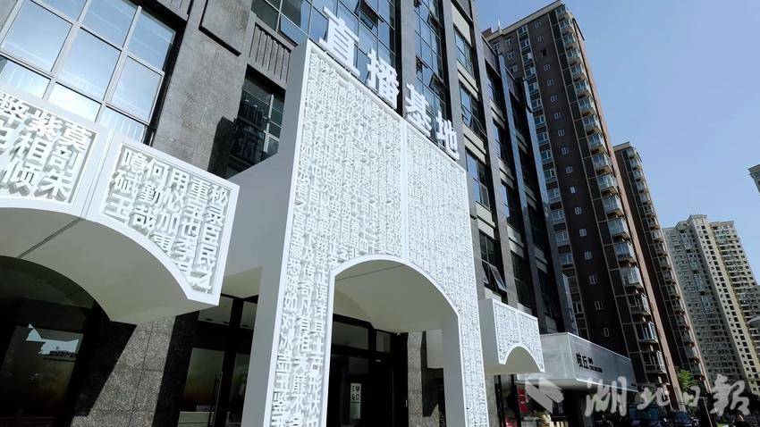 蕲春“统战电商”模式激活蕲艾产业高质量发展