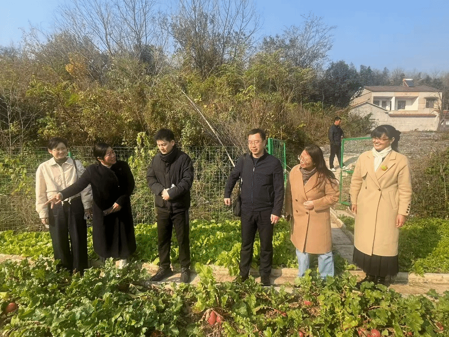 “百马行动”宣讲队推动党的二十届四中全会精神落地基层