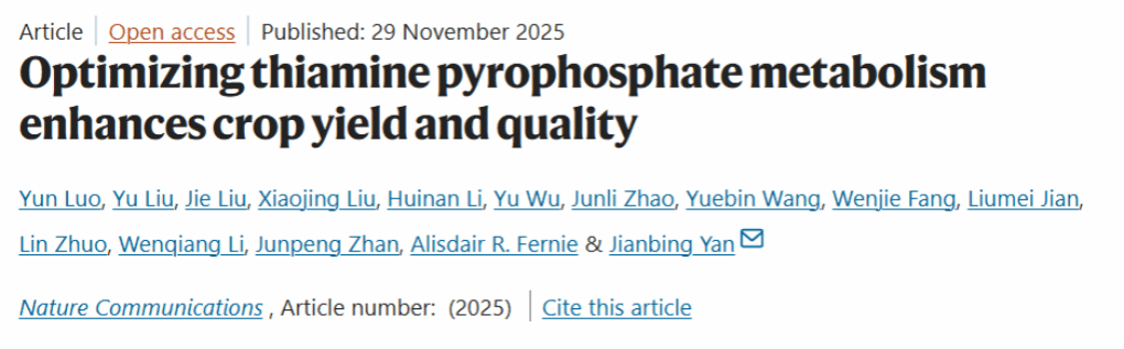 严建兵教授团队解锁玉米产量和蛋白含量协同提升机制