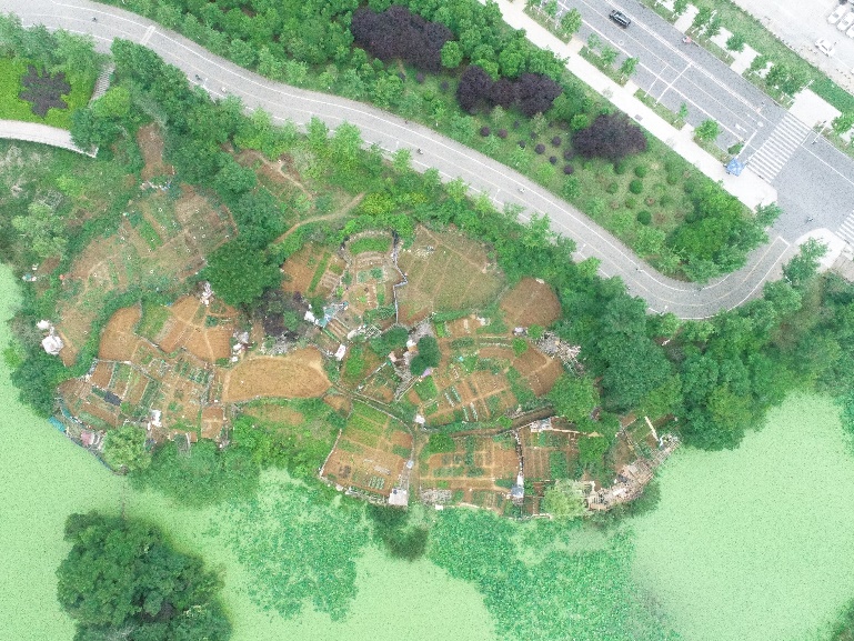 曙光养殖场土地收回工作圆满完成