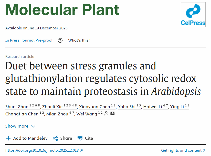 华中农业大学学者揭示应激颗粒实现胞内氧化还原异质性调控细胞抗氧化的新功能