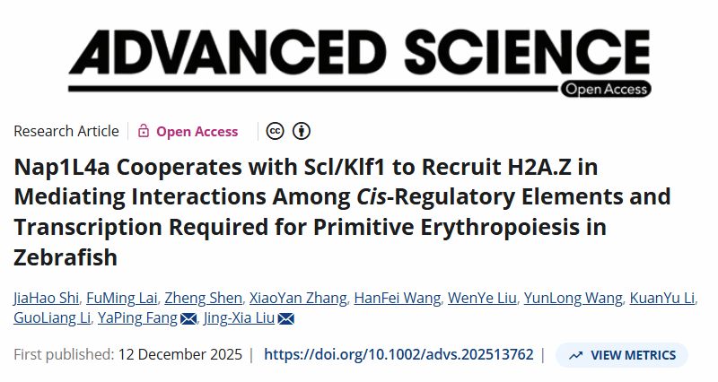 华中农业大学学者揭示斑马鱼早期造血分子机制