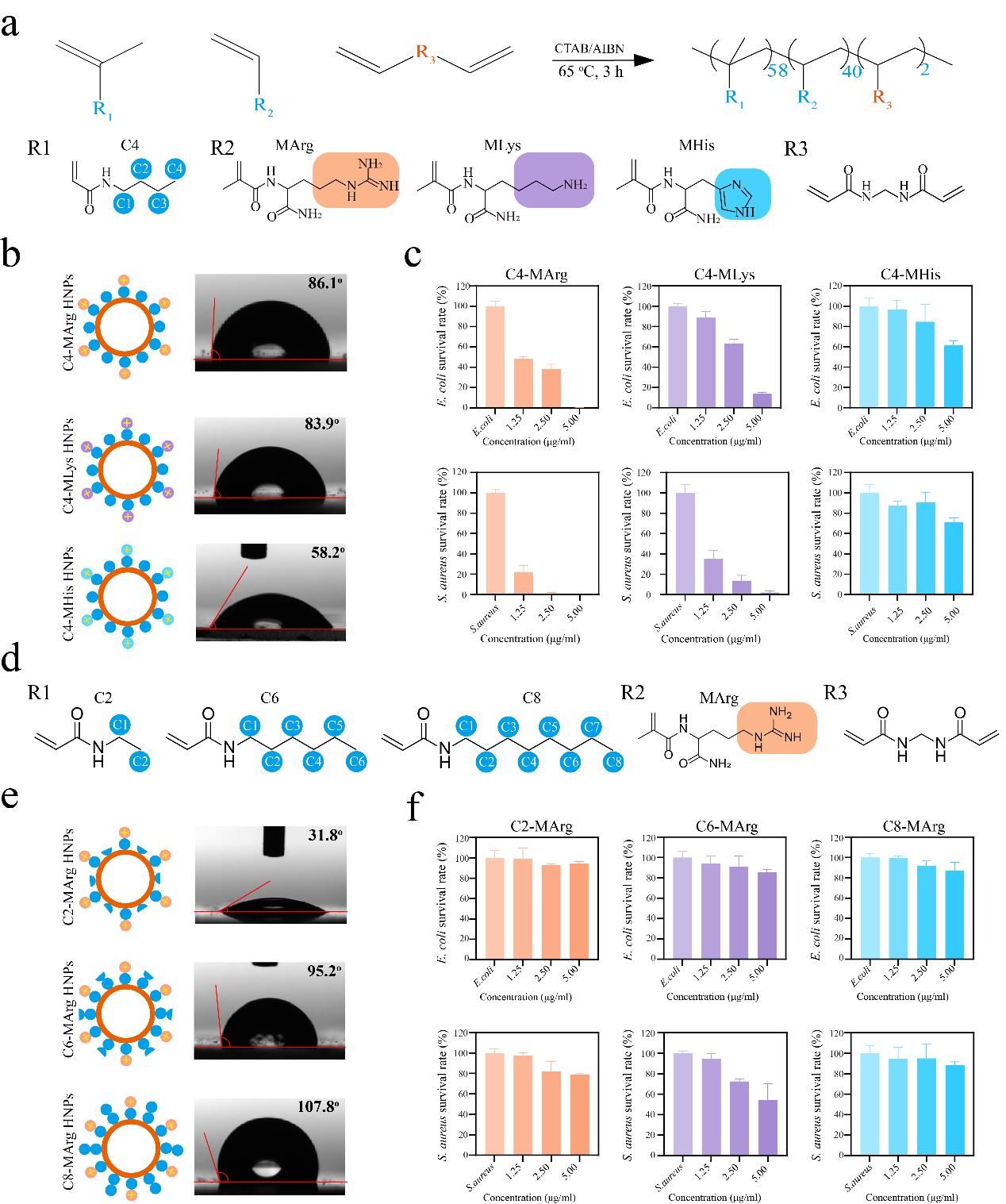 华中农业大学环境与生物分析团队在广谱抗菌聚合物研究领域取得重要进展