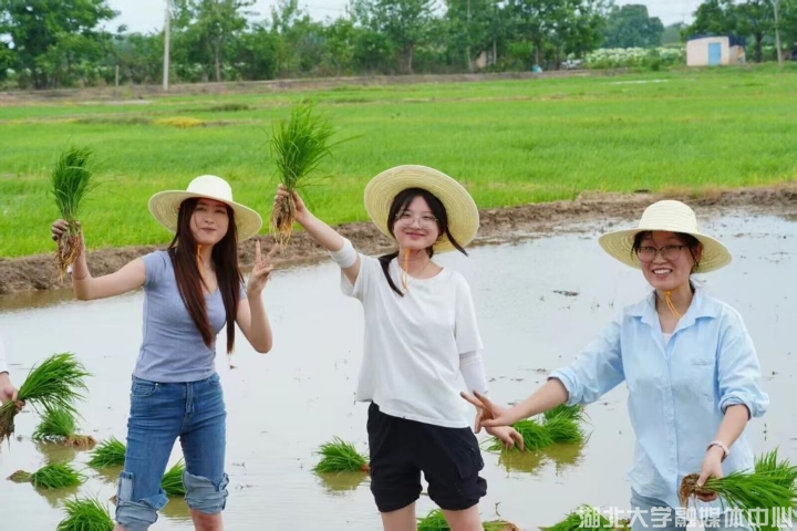 躬耕稻香育新人：湖北大学生科院“一条龙”农事实践探索劳动育人新范式