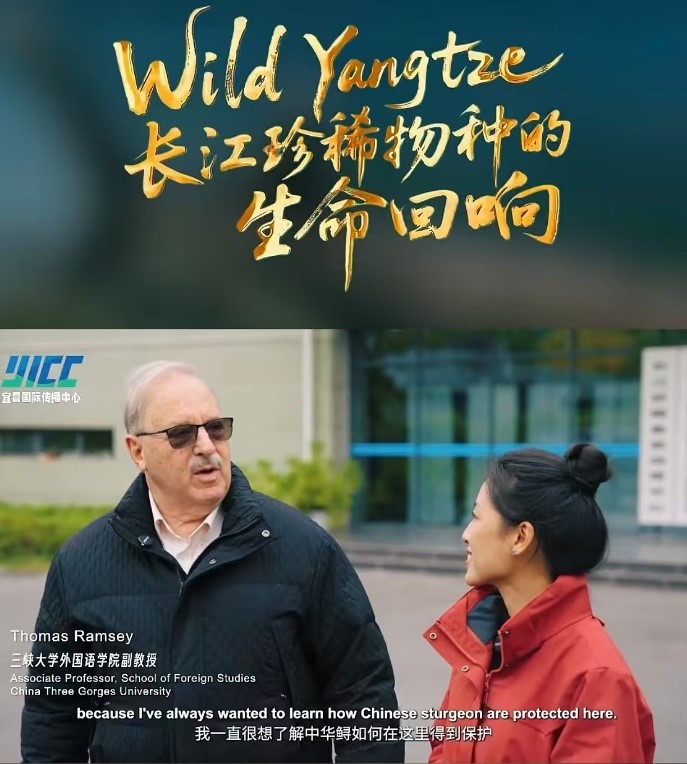 讲好长江生态故事 三峡大学国际学者助力专题纪录片呈现中华鲟保护之路