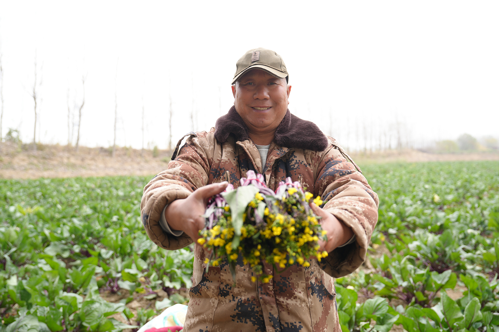“菜-虾”循环种养模式助农增收