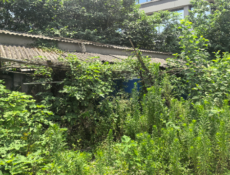 曙光养殖场土地收回工作圆满完成