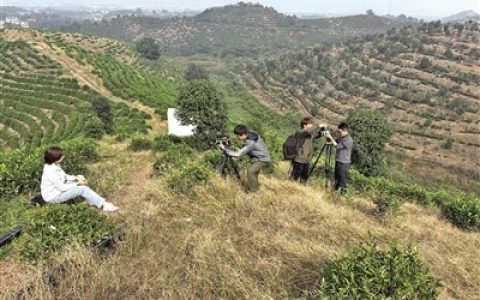 影像为笔  城魂为墨 五位青年电影导演共绘千里荆楚地