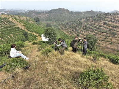 影像为笔  城魂为墨 五位青年电影导演共绘千里荆楚地