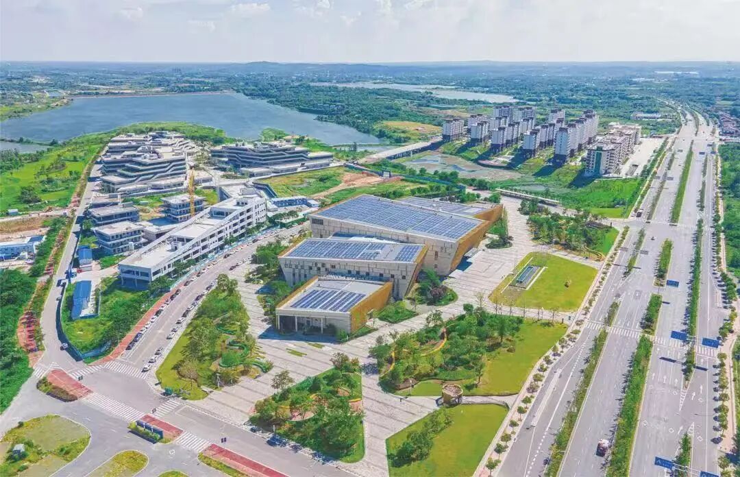 与“城市合伙人”同心共赢——荆门市“楚商回乡 共建支点”工作回眸