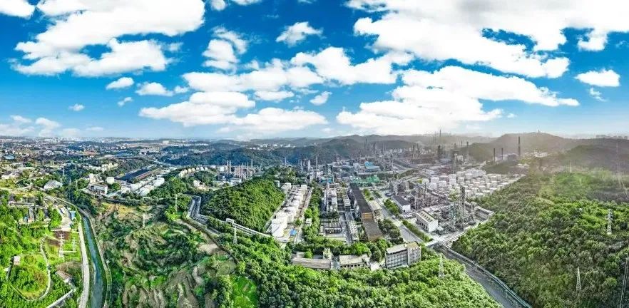 与“城市合伙人”同心共赢——荆门市“楚商回乡 共建支点”工作回眸