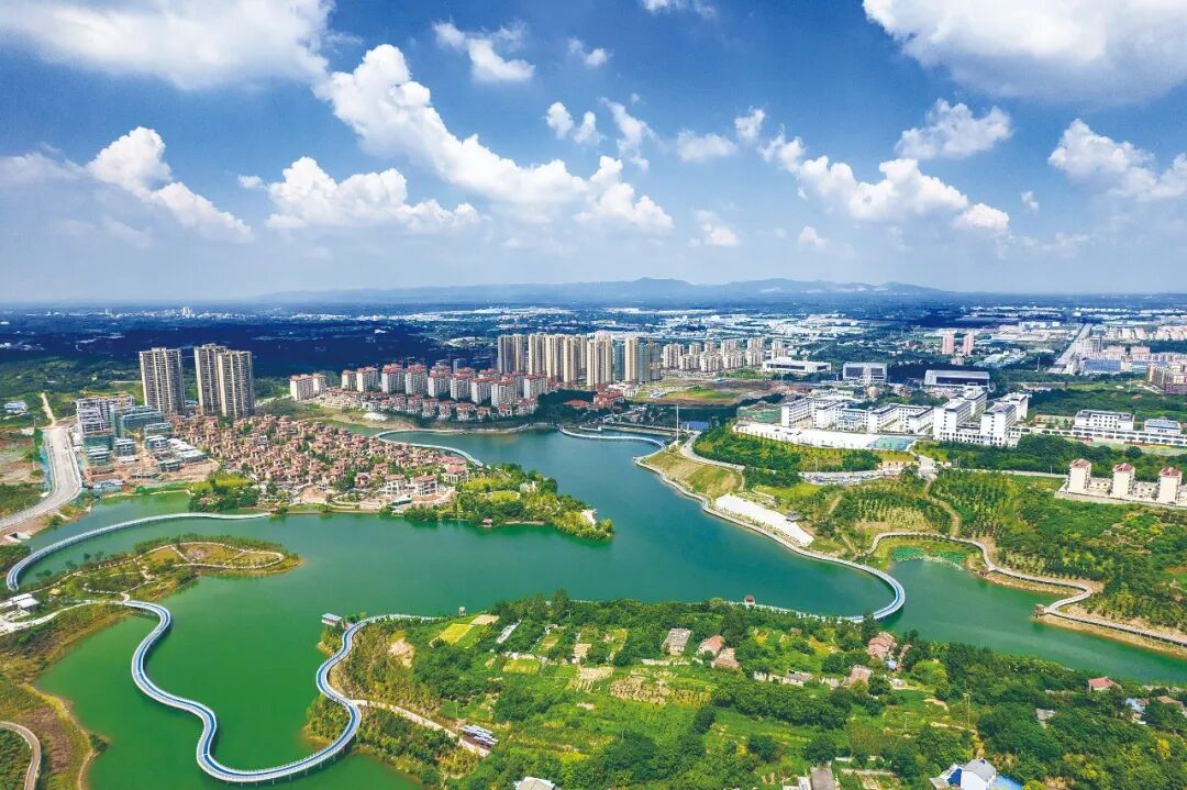 与“城市合伙人”同心共赢——荆门市“楚商回乡 共建支点”工作回眸