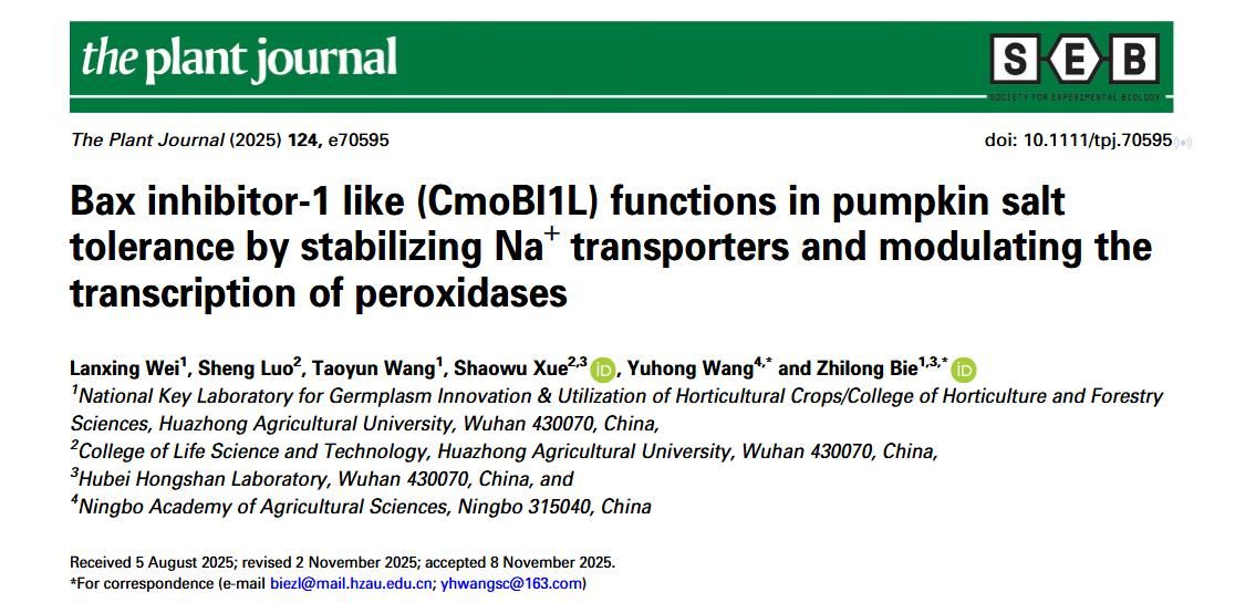 别之龙教授团队揭示CmoBI1L介导南瓜耐盐性的分子机制