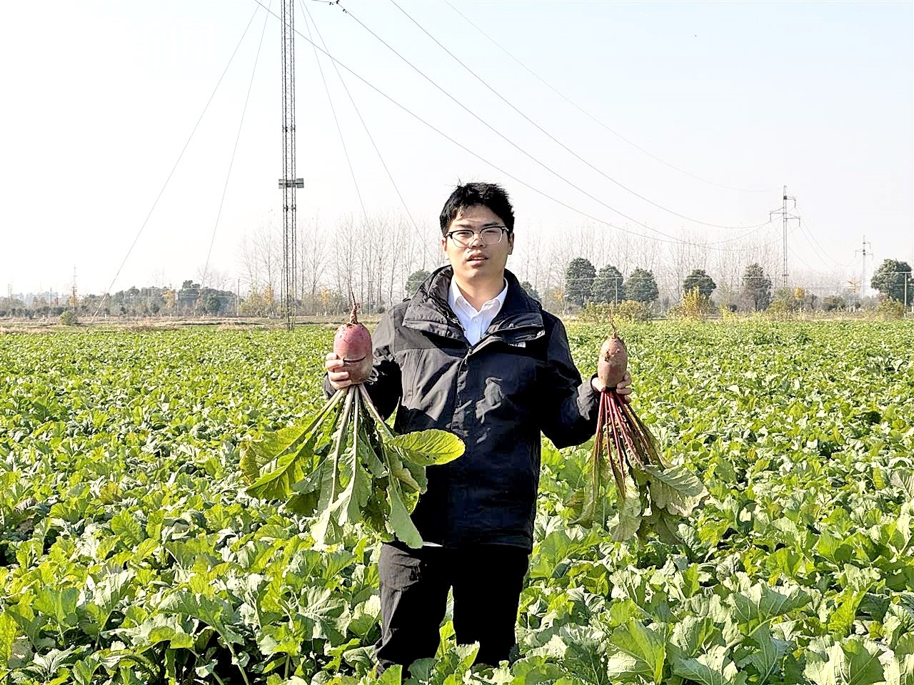 华农在读硕士农村创业 富硒黑米和凤梨萝卜盼销路