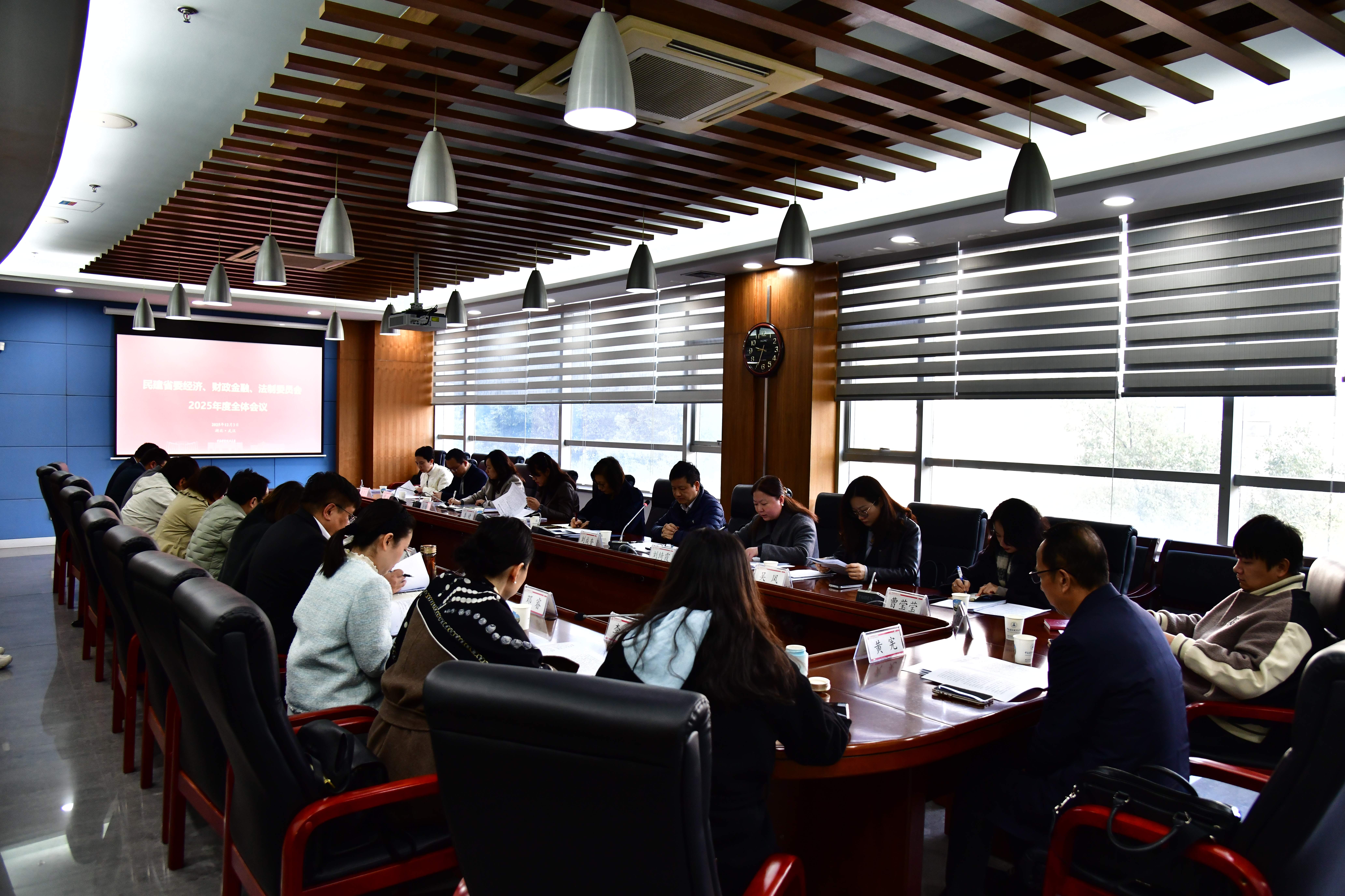 民建省委经济、财政金融、法制委员会2025年度全会在中南财经政法大学召开