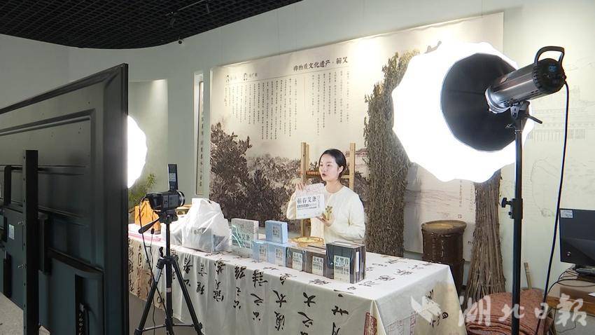 蕲春“统战电商”模式激活蕲艾产业高质量发展