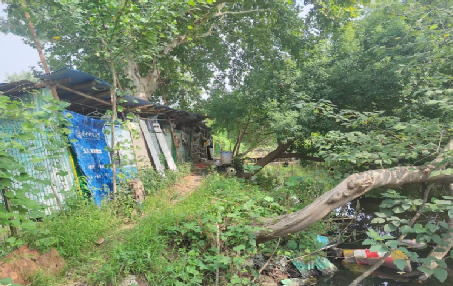 曙光养殖场土地收回工作圆满完成