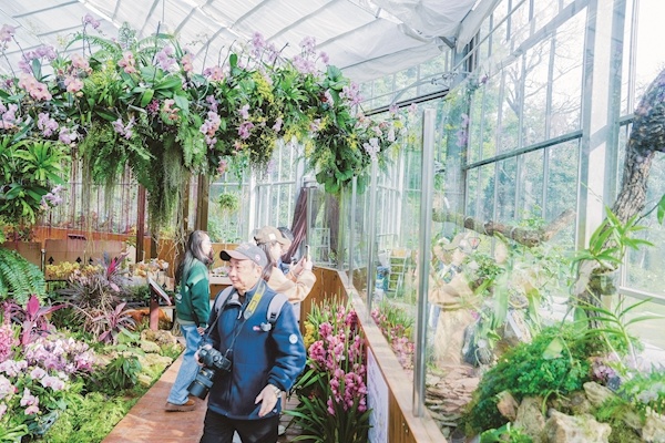 来23℃花屋赏热带兰花