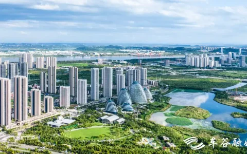 强化产业链招商 “中国车谷”加速迈向“世界车谷”