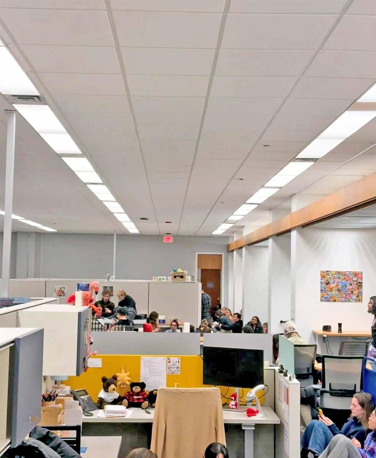 留学生亲历“枪击案” 在图书馆用沙发堵门避险